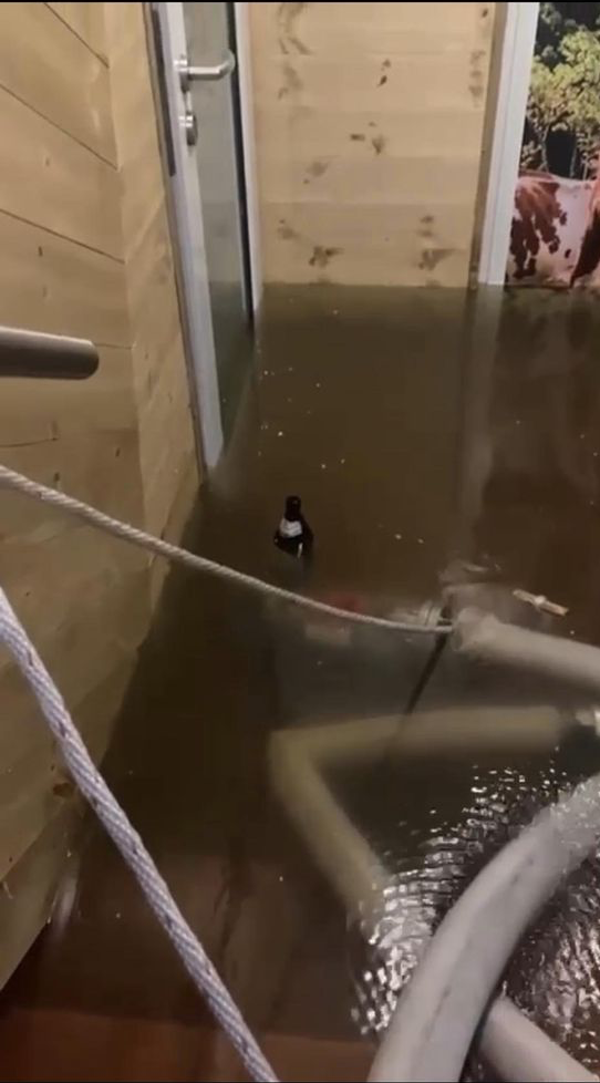 Hochwasser